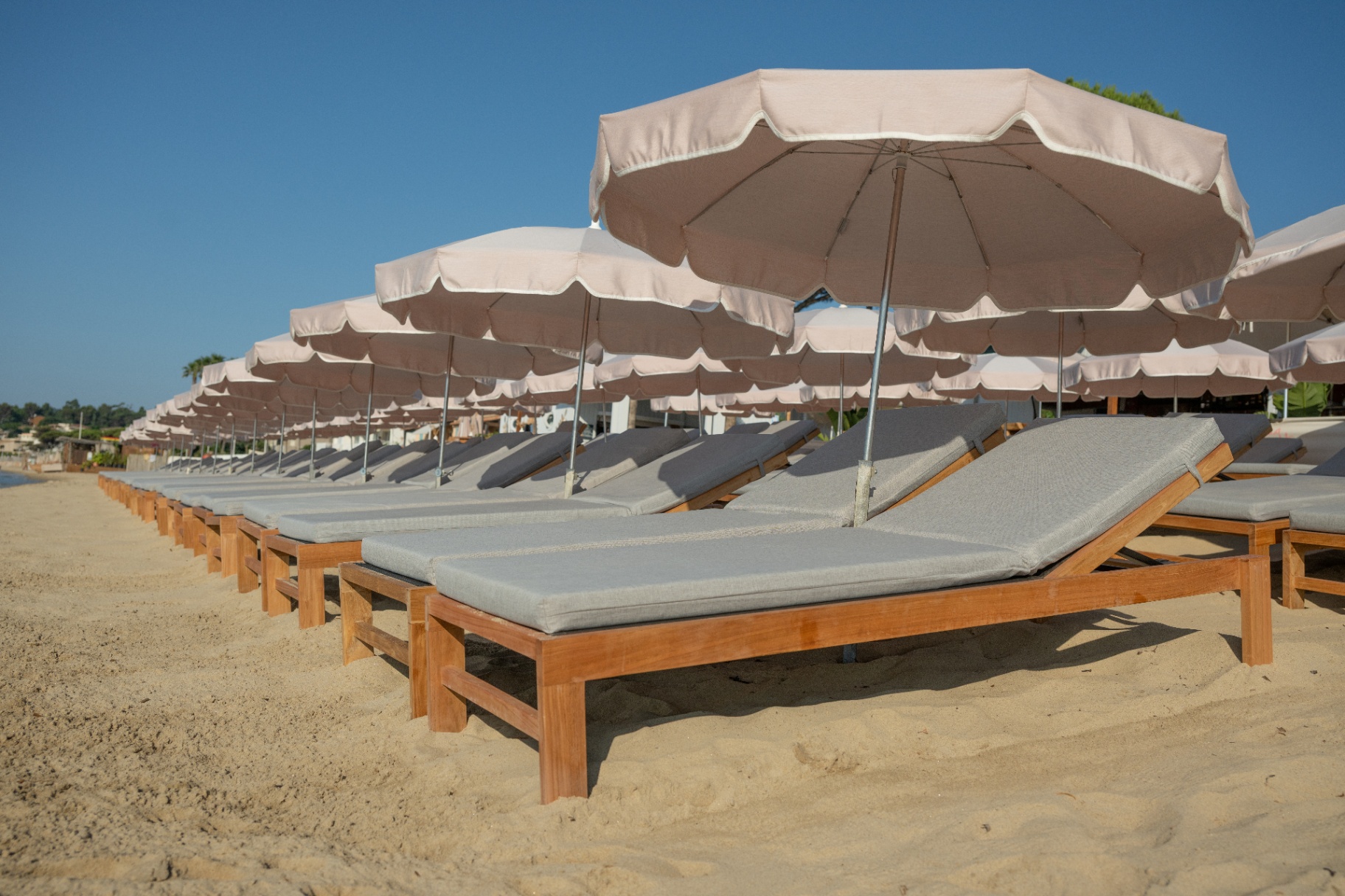 Rangée de bains de soleil sous parasols